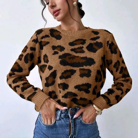 Women Vintage Chic Leopard Print Oversized Loose Knit Sweater, Warm & Stylish - Picture 1 of 4